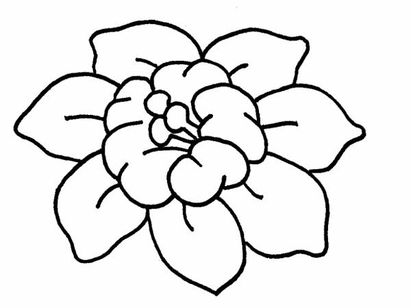 flor pra desenho 32