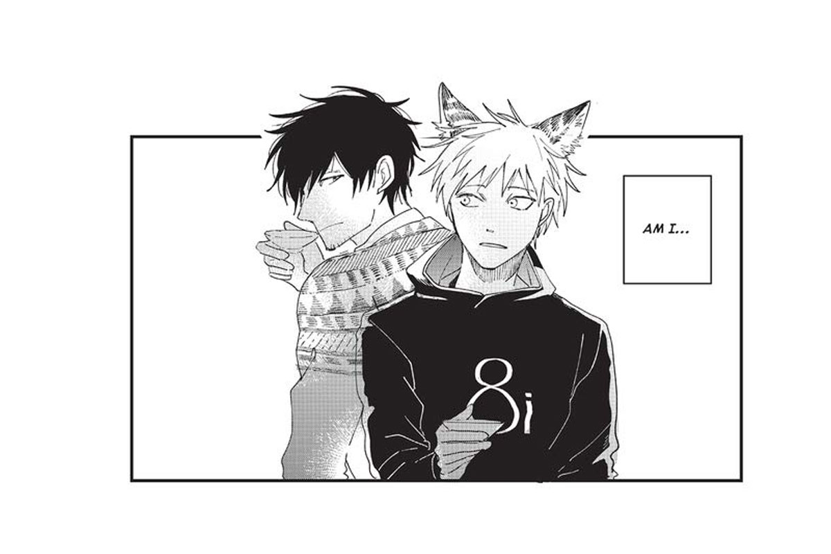 Analise de The Cat Proposed Manga Yaoi