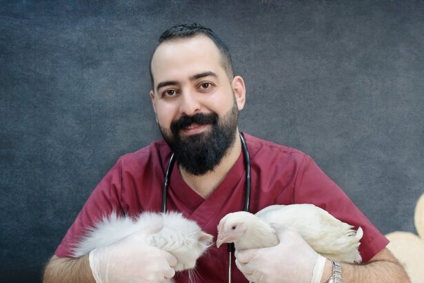 9 de setembro de Veterinarios a cachorros quentes